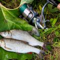 季節に応じた釣り×車中泊の服装・装備選びのコツ