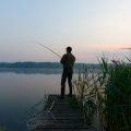 子供や高齢者を同伴する際の特別な注意点