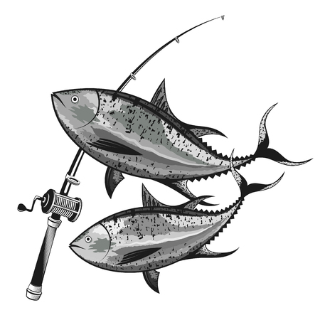 産卵期のターゲット各魚種の生態・習性