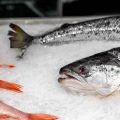 Instagramを活用した最新釣果自慢テクニックと注意点