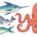 釣った魚の内臓処理とアニサキス対策の基本ステップ全ガイド