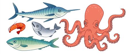 釣った魚の内臓処理とアニサキス対策の基本ステップ全ガイド