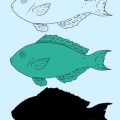 初心者必見！初めての釣行に必要な基本装備とアイテムリスト
