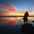 俳句と釣り：文学にみる日本の釣り文化の魅力