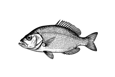 釣り堀・管理釣り場の選び方とポイント