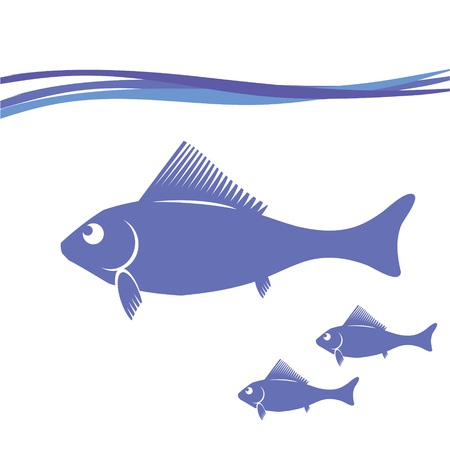釣った魚を新鮮に保つための血抜きの重要性と正しい手順