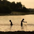 アニサキスとは何か？その生態と釣った魚に潜む危険性について徹底解説