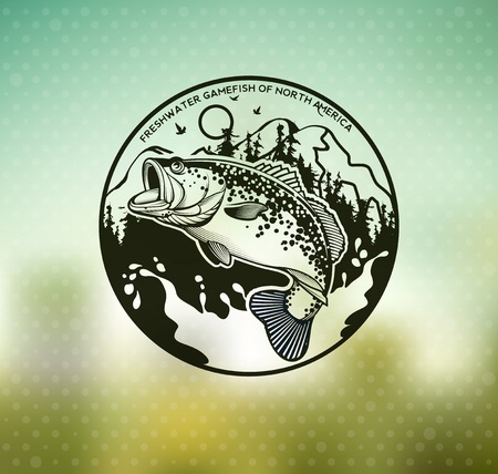 おすすめの釣り場とターゲット魚種