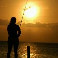 気温低下に伴う魚の活性低下とその対策方法