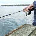クーラーボックスのサイズと容量選びのコツ：釣行スタイル別の最適解と収納術