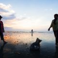 夜釣りで注意すべき安全ポイントと照明器具の活用法