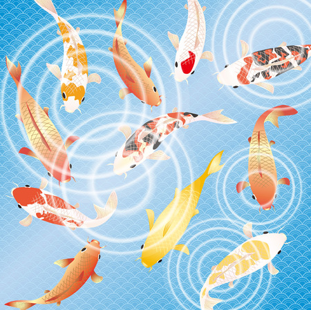 冬限定の旬魚を知る：美味しい食べ方・レシピと釣り方