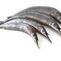エリア別でみる釣りYouTuber：北海道・東北・関西・九州の有名配信者