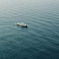 未来へつなぐ友釣り—後継者育成と持続可能な文化への挑戦