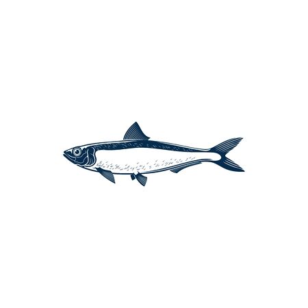 釣り場選びと季節ごとのポイント