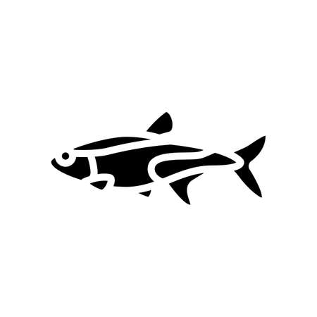 美味しい旬魚の選び方と保存方法