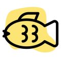 初めてのルアー釣りに最適な初心者向け道具セットはこれだ！