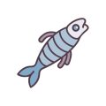 冬の磯釣り・堤防釣り成功の秘訣と安全対策