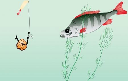 釣り人が守るべきマナー