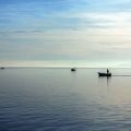 北海道のサケ釣り文化と河川ごとの攻略法
