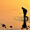 ブリ（鰤）の血抜きと照り焼き・ブリしゃぶレシピ解説