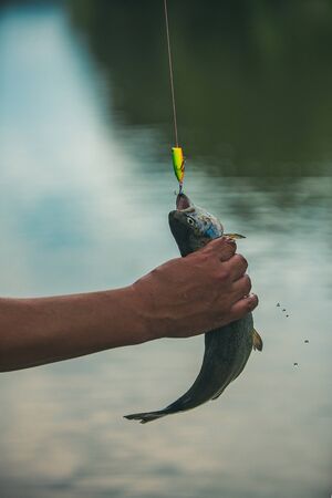 釣果を活かす！持ち帰り用クーラーボックス選びのポイント