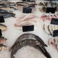 海釣りに欠かせない便利グッズと最新アイテム特集