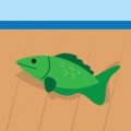 お子さま連れでも安心！夜釣りと海水浴のための注意点と準備