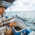 東京湾エリアの絶対外せない人気海釣りスポット10選