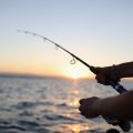 釣った魚の冷凍・解凍テクニックと味を損なわない保存のポイント
