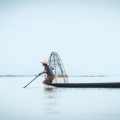 釣った魚の刺身と一夜干し、食べ比べ体験記