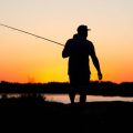 アジ・イワシ・サバ：関東で狙える人気魚種と釣り場情報