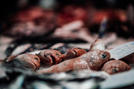 燻製と干物の違いとそれぞれに合った魚種の選び方