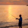 季節ごとの旬魚レシピと下処理ポイント