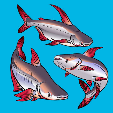 おすすめ穴場スポットの選定ポイント