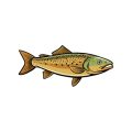 手袋や帽子など小物装備で差がつく！釣果アップのコツ