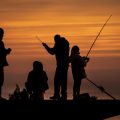 シニア世代のための釣りクラブ活動記～生涯スポーツとしての釣り