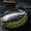 釣りと料理をつなぐ：和食文化に根ざした魚の処理・持ち帰り体験記