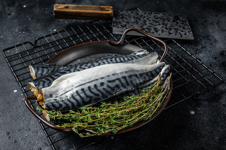 釣りと料理をつなぐ：和食文化に根ざした魚の処理・持ち帰り体験記