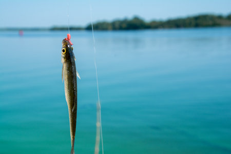 落水事故事例から学ぶ安全対策と教訓