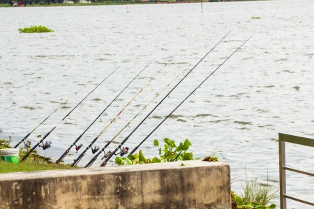 鮎釣り専用道具、シマノとダイワの鮎竿・小物の使い心地を徹底レビュー