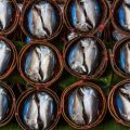 釣った魚を美味しく食べる！川魚＆湖魚レシピ集