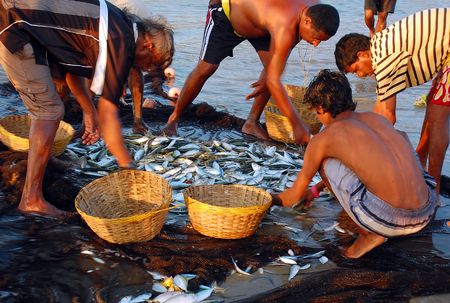 関西の穴場釣りスポット10選とその楽しみ方