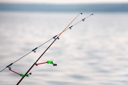 投げ釣りで釣れる魚の特徴と釣果アップの秘訣