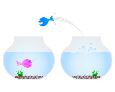 長期釣行に役立つキャンプ&渓流釣りの完全プランニングガイド