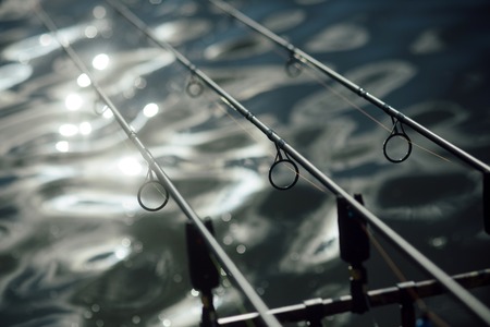 東京湾・大阪湾・仙台湾:エリア別メバル・カサゴ爆釣ポイント紹介