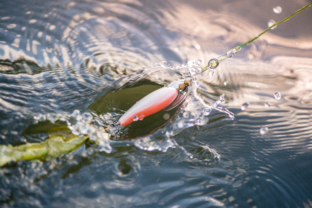 トラウト（鱒）フィッシングの基礎知識と上級テクニック