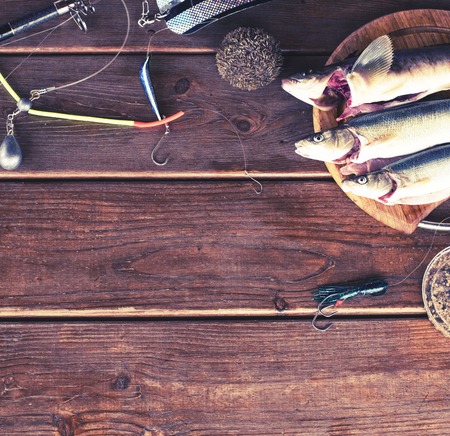 コスパ最強！5000円以内で揃う初心者用釣り具セット全紹介