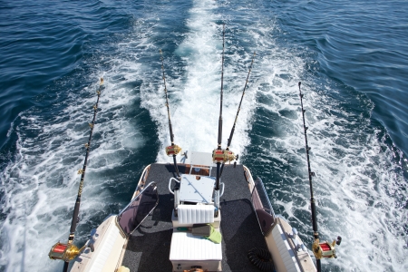 釣り仲間とのチーム対抗戦が熱い！戦略と友情が交差する大会レポート