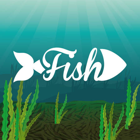 ルアーチョイスとプレゼンテーション技術